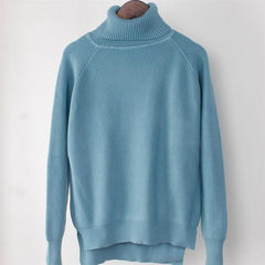 Cozy Turtleneck Raglan Sleeve Sweater