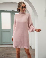 Cozy Turtleneck Knit Sweater Dress