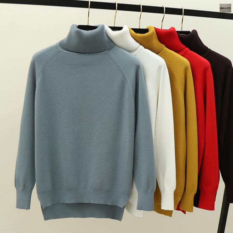 Cozy Turtleneck Raglan Sleeve Sweater