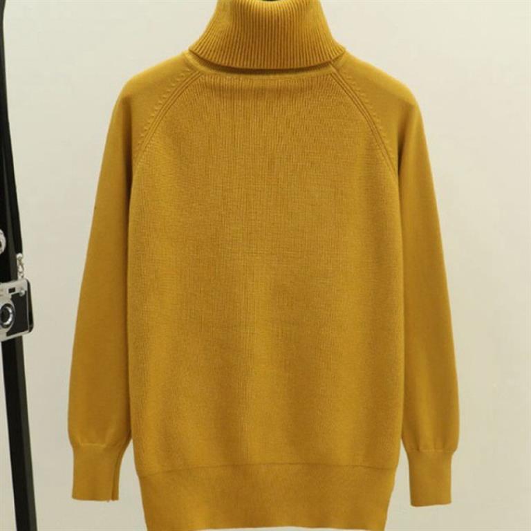 Cozy Turtleneck Raglan Sleeve Sweater