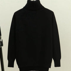 Cozy Turtleneck Raglan Sleeve Sweater