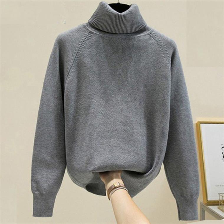 Cozy Turtleneck Raglan Sleeve Sweater